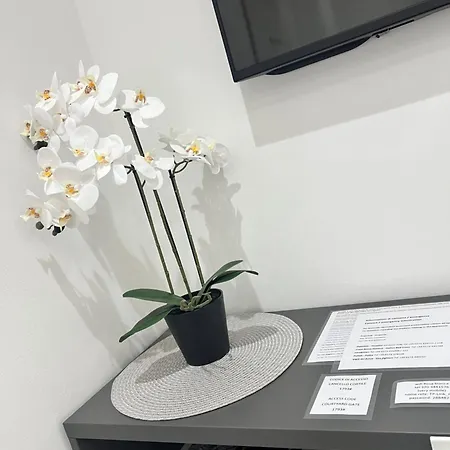 Rosa Bianca Con Posto Auto Gratuito Nel Centro Storico Di - Langhe Apartment *